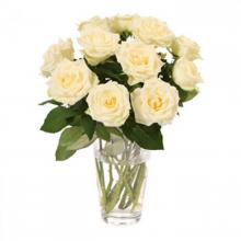 Blush Roses